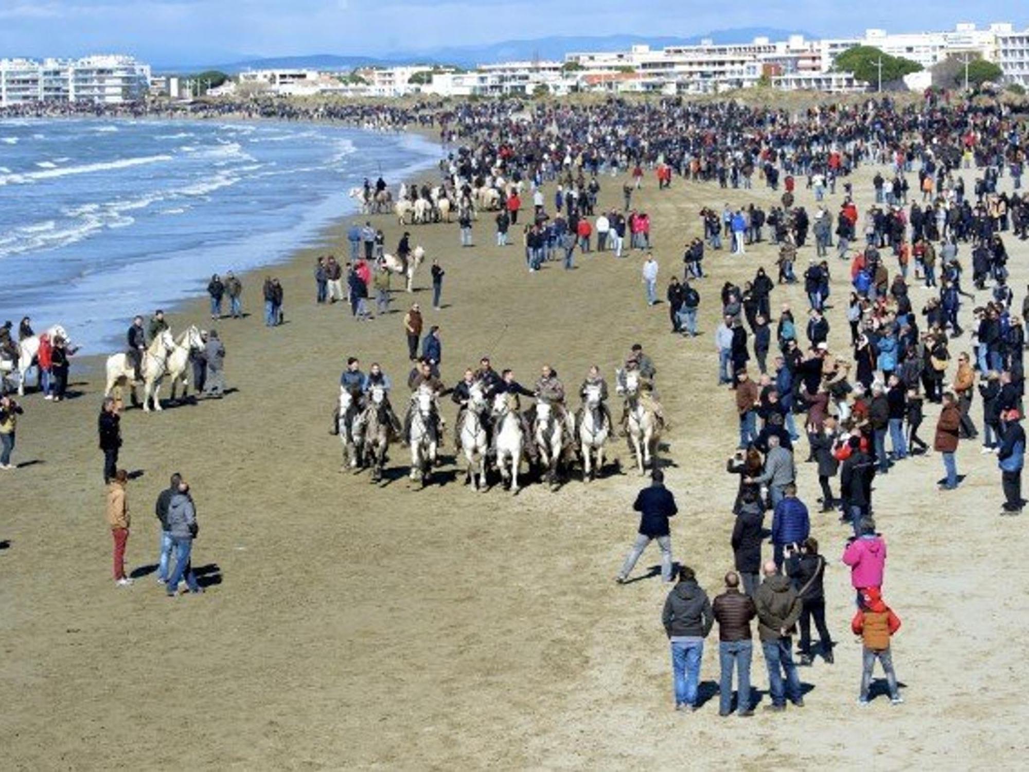 Maison P2 Mezzanine, Terrasse, Proche Plage Et Commerces, Parking Securise Au Grau-Du-Roi - Fr-1-307-142 ル・グロー・デュ・ロワ エクステリア 写真